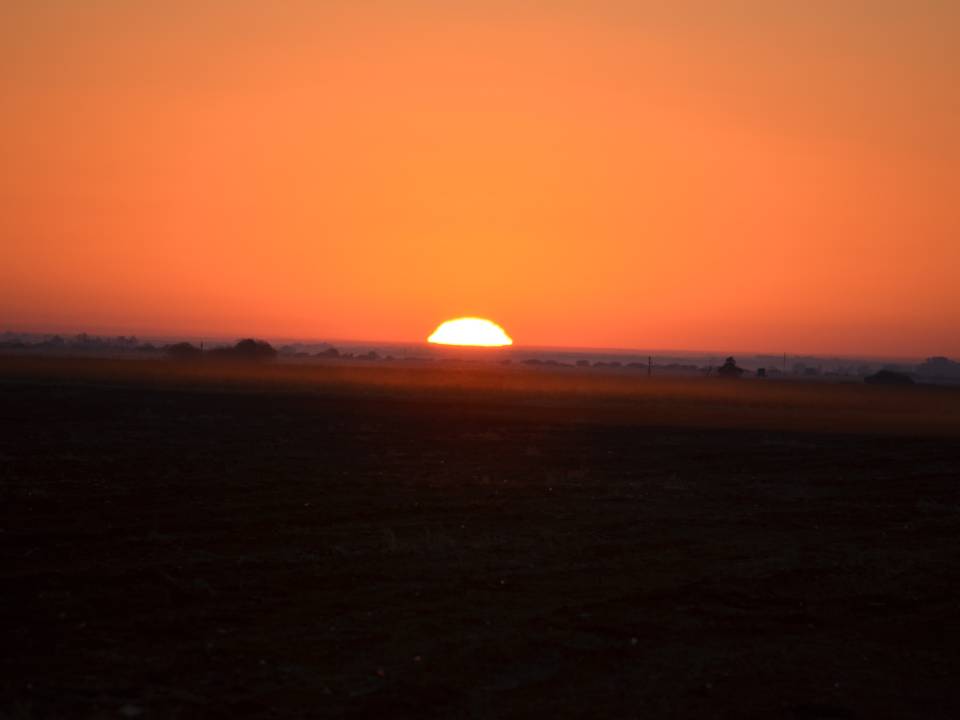 Goose Hunting Sunrise Africa.jpg